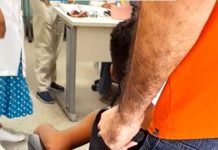 Crianças são atacadas por enxame de abelhas em escola na Bahia