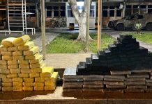 Dois homens são presos com mais de 200 kg de entorpecentes no sul da Bahia