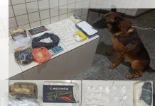 Após denuncia, homem é preso com grande quantidade de drogas em Ruy Barbosa