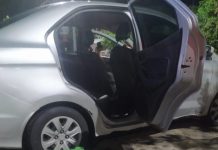 Após serem flagradas abandonando gatos em Piatã, três pessoas são detidas pela PM