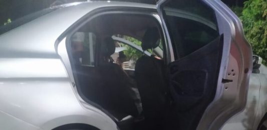 Após serem flagradas abandonando gatos em Piatã, três pessoas são detidas pela PM