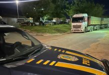 PRF realiza apreensão de 16 veículos com apropriação indébita, na BR-242 PRF realiza apreensão de 16 veículos com apropriação indébita, na BR-242