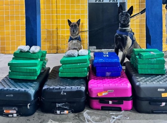 Duas mulheres são presas com mais de 50kg de drogas na BR-242 Duas mulheres são presas com mais de 50kg de drogas na BR-242