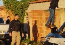 Polícia Civil cumpre mandados relacionados a crimes de tráfico de drogas e homicídio