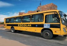 Criança de 6 anos morre após ser atropelada por ônibus escolar