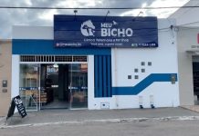 Clínica Veterinária está com vaga de emprego para Recepcionista, em Itaberaba