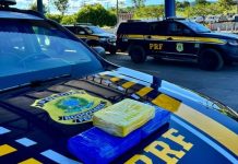 PRF apreende drogas em ônibus de linha interestadual na BR 242