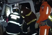 Casal morre após batida entre carro e ônibus após tentar desviar de cavalo na pista