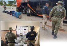 Operação na Chapada Diamantina resulta em apreensões e cumprimento de mandado de prisão Operação conjunta na Chapada Diamantina resulta em diversas apreensões e cumprimento de mandado de prisão