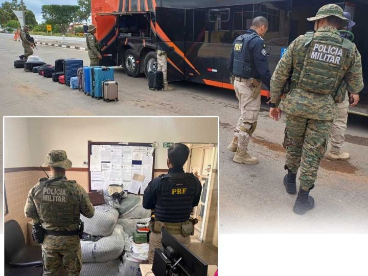 Operação conjunta na Chapada Diamantina resulta em diversas apreensões e cumprimento de mandado de prisão