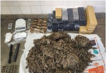 Homem é preso com 67kg de maconha Cipe Semiárido captura suspeito suspeito de tráfico de drogas com 67kg de maconha em Brumado