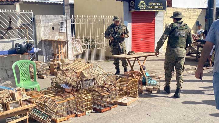 Coppa captura 15 homens com aves silvestres em Feira de Santana