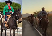 Baiana de 71 anos sai de Itaberaba montada em mula para participar da Festa do Peão em Barretos Baiana de 71 anos sai de Itaberaba montada em mula para participar da Festa do Peão em Barretos