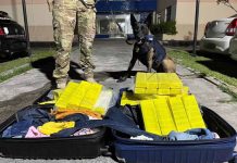 Mulher, que viajava com filho pequeno, é presa com 50Kg de maconha em ônibus