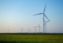 Pan American Energy inaugura Complexo Eólico em Boninal