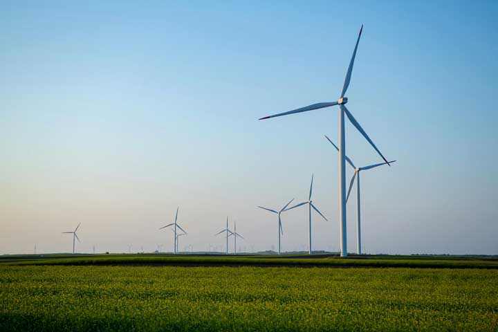 Pan American Energy inaugura Complexo Eólico Novo Horizonte nesta quarta