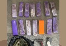 Após denuncia, Rondesp prende homem por tráfico de droga e posse ilegal de arma de fogo