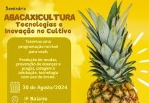 Sebrae realiza Seminário da Abacaxicultura em Itaberaba