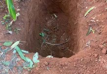 Mulher que abriu cova para enterrar ex-marido é encontrada morta perto do buraco; atual companheiro é preso Mulher que abriu cova para enterrar ex-marido