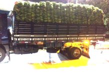 Flagrante de carga irregular leva a apreensão de “rebites” em Santo Antônio de Jesus