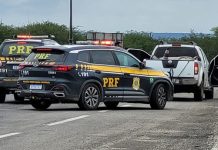 PRF apreende quase meia tonelada de maconha em Rafael Jambeiro