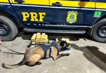 PRF apreende mais de 19 kg de maconha em fiscalização em Feira de Santana