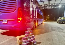 PRF apreende grande quantidade de cigarros eletrônicos em ônibus na BR-242