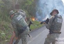 Homem é preso em flagrante enquanto usava isqueiro e combustível para colocar fogo em vegetação na Bahia Homem é preso em flagrante enquanto usava isqueiro e combustível para colocar fogo em vegetação na Bahia