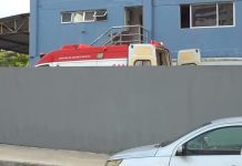 Suspeito de assalto é atacado por dois pitbulls ao pular muro e tentar invadir empresa