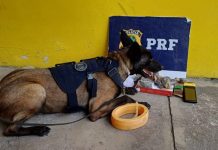 PRF apreende drogas, cigarros eletrônicos, smartphones e notebooks durante operação na BR-116