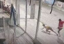 Homem é preso suspeito de matar outro por ciumes em seresta Homem é preso suspeito de matar outro por ciumes em seresta