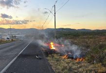 Homem morre em colisão entre moto e carreta na BR-242 em Itaberaba Homem morre em colisão entre moto e carreta na BR-242 em Itaberaba