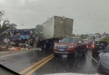 Acidente entre ônibus e caminhão deixa mortos e feridos na Bahia