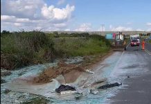 Carga de vidros cai de carreta na BR-420