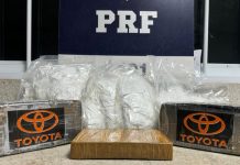 Durante fiscalização em ônibus na BR-116, PRF apreende mais de 5 kg de entorpecentes