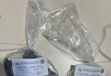 PMBA recupera caminhão furtado e apreende arma em Souto Soares