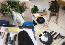 Ação policial em Lençóis resulta na apreensão de drogas e armas Ação policial em Lençóis resulta na apreensão de drogas e armas