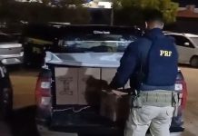 PRF apreende mais de 1.400 perfumes falsificados