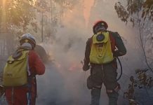 Chapada Diamantina recebe reforço de 35 bombeiros para combater incêndios florestais