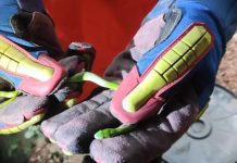 Bombeiros resgatam serpente em residência de Itaberaba Bombeiros resgatam serpente em residência de Itaberaba