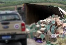 Caminhão com 500 mil maços de cigarro sem nota fiscal tomba na BA-262