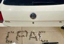 Suspeitos são presos por trafico de drogas e porte ilegal de armas