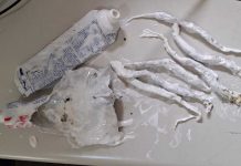 Motoboy é preso ao tentar entregar creme dental com maconha em delegacia de Itaberaba Motoboy é preso ao tentar entregar creme dental com maconha em delegacia de Itaberaba