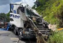 Motorista morre após perder controle da direção e carreta sair de pista