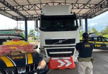 PRF apreende 37,8 kg de cocaína ao abordar um caminhão na BR-242
