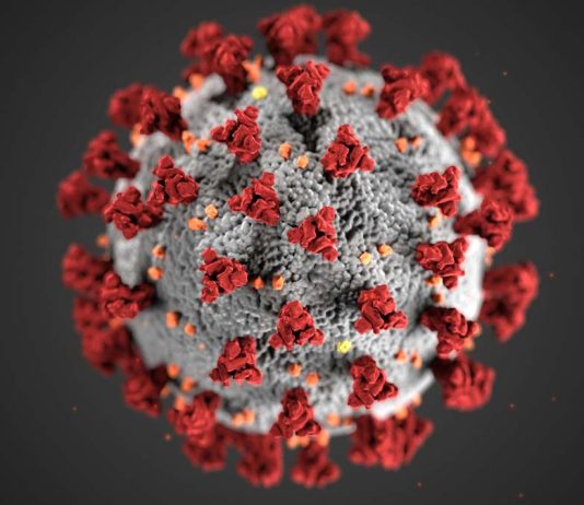 Às vésperas do Carnaval, Bahia tem quase 2 mil casos de Covid