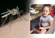 Criança de seis anos morre de dengue após dar entrada em hospital na Bahia