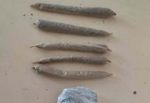 Policia apreende drogas em Ruy Barbosa e conduz mulher à delegacia