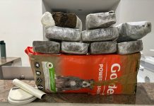 PRF apreende drogas e produtos sem nota fiscal em ônibus na BR-116, em Feira de Santana PRF apreende substâncias entorpecentes em ônibus de turismo