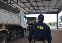 PRF prende motorista que fugiu após causar acidente fatal na BR-242 PRF prende motorista que fugiu após causar acidente fatal na BR-242